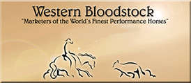 Go to Western Bloodstock's Website
